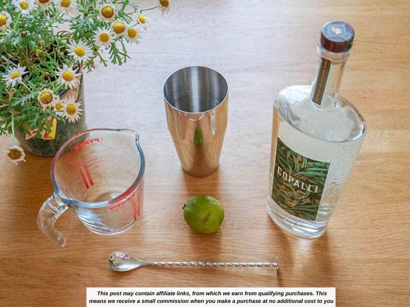 Daiquiri cocktail ingredients