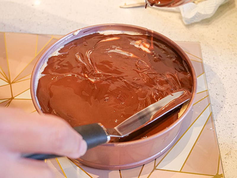 Chocolate spatula