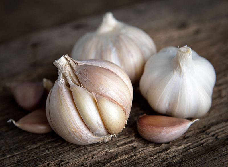 Garlic bulbs with garlic cloves